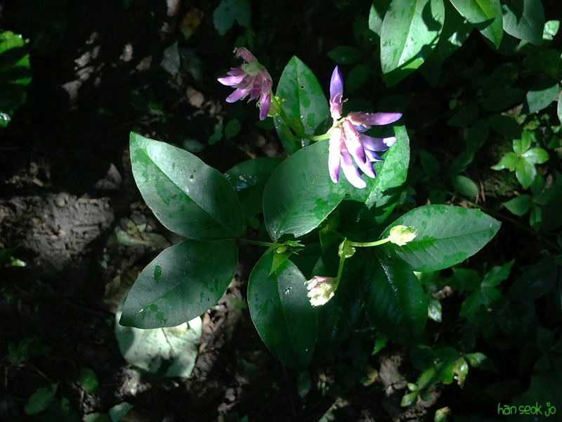 2010-07-28 08.30.40.jpg